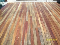 spotted_gum_86x19_oiled